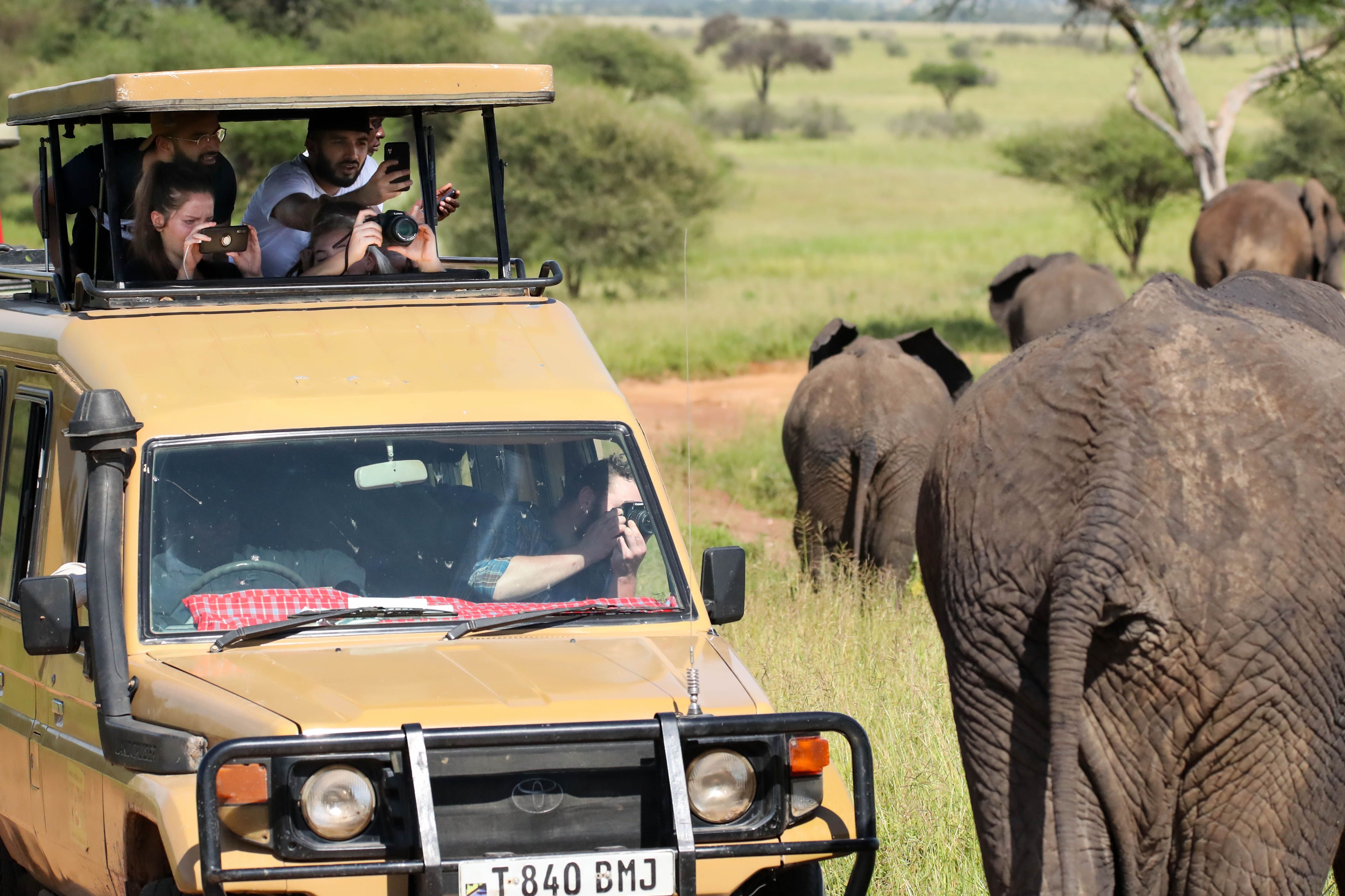 Tsavo - Wildlife up close